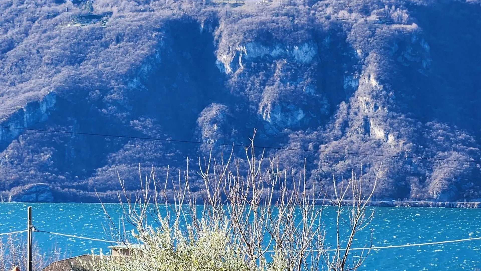 Apartment L'Ulivo Lake View Private Road 5 Kilometers From Varenna Lierna