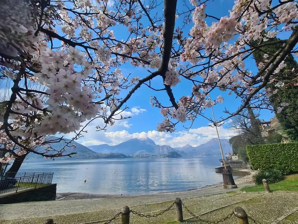 Apartment L'Ulivo Lake View Private Road 5 Kilometers From Varenna Lierna 0*,  Italië