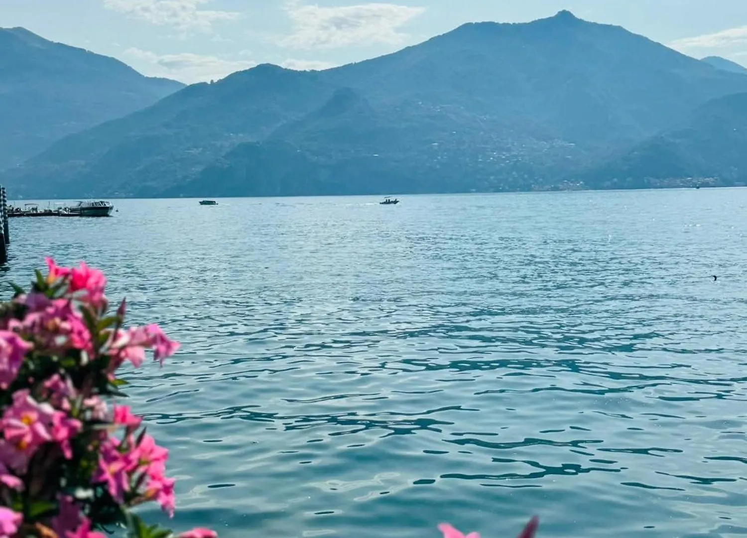 Apartment L'Ulivo Lake View Private Road 5 Kilometers From Varenna Lierna