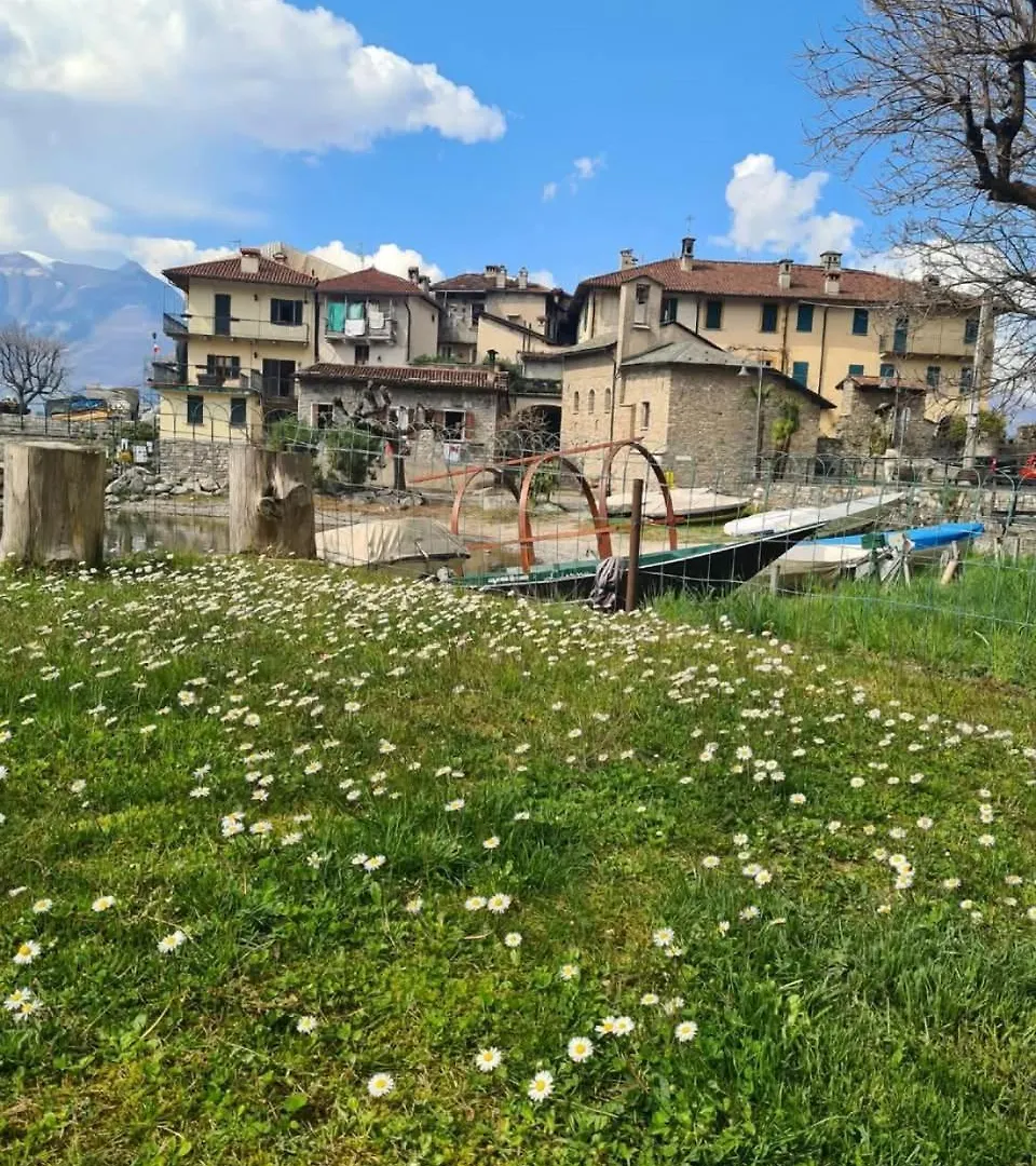 Apartment L'Ulivo Lake View Private Road 5 Kilometers From Varenna 리에르나